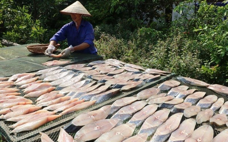 Cá thu 1 nắng bao nhiêu 1kg? Cập nhật giá mới nhất 2026 6 mua ca thu 1 nang o dau uy tin chat luong