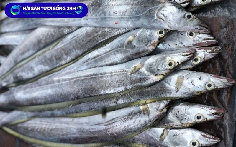 Những sai lầm khi chọn cá hố 