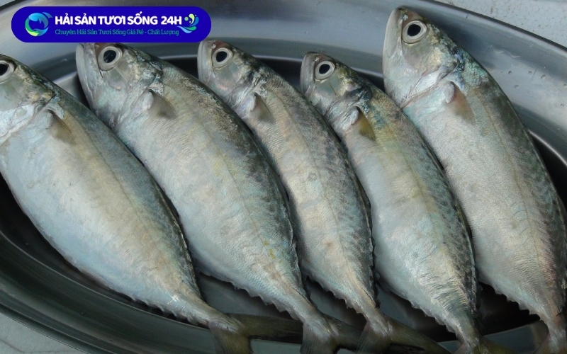 Cá nục bạc má bao nhiêu 1kg