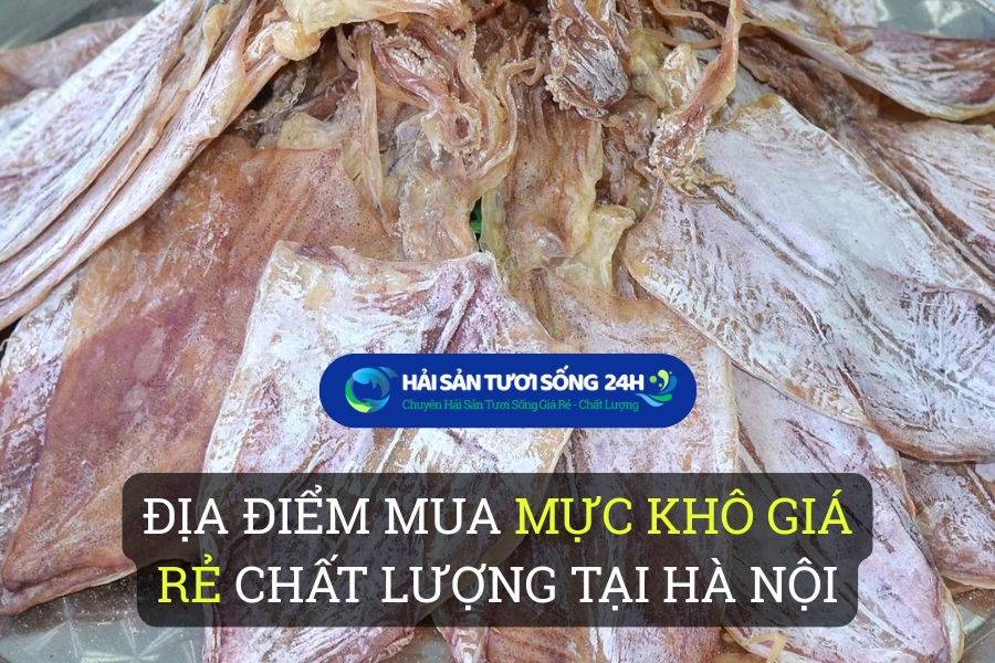Địa điểm mua Mực khô giá rẻ chất lượng tại Hà Nội