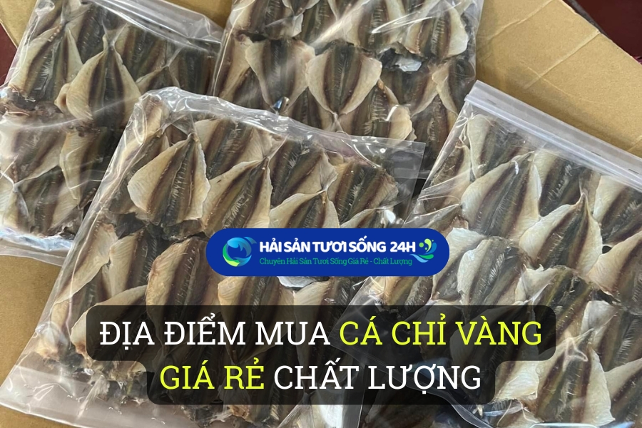 Địa điểm mua Cá chỉ vàng giá rẻ chất lượng
