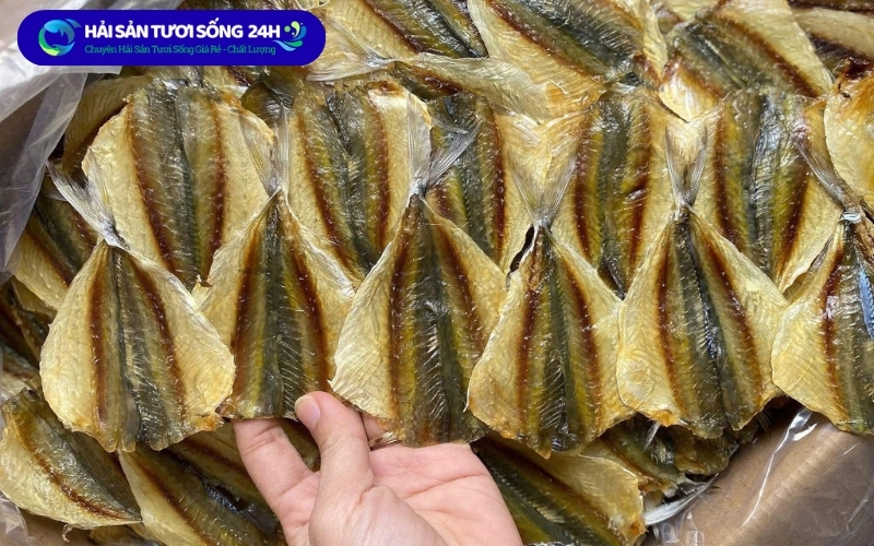 Hải Sản Tươi Sống 24h: Địa Điểm Hàng Đầu Bán Cá Chỉ Vàng Chất Lượng