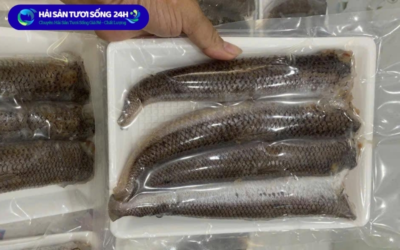 Cá Mối bao nhiêu 1kg? Cập nhật giá cá mối mới nhất 2026 4 Địa điểm mua cá mối